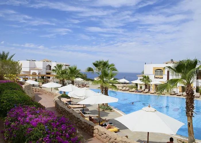 Amphoras Blu Ultra (adults Only)