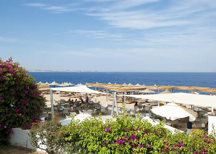 Amphoras Blu Ultra (adults Only)