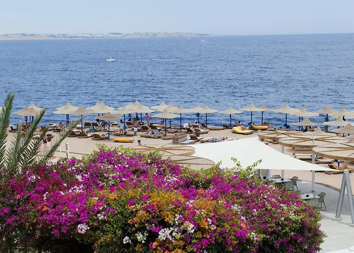 Amphoras Blu Ultra (adults Only)