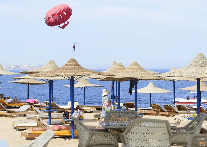 Amphoras Blu Ultra (adults Only)