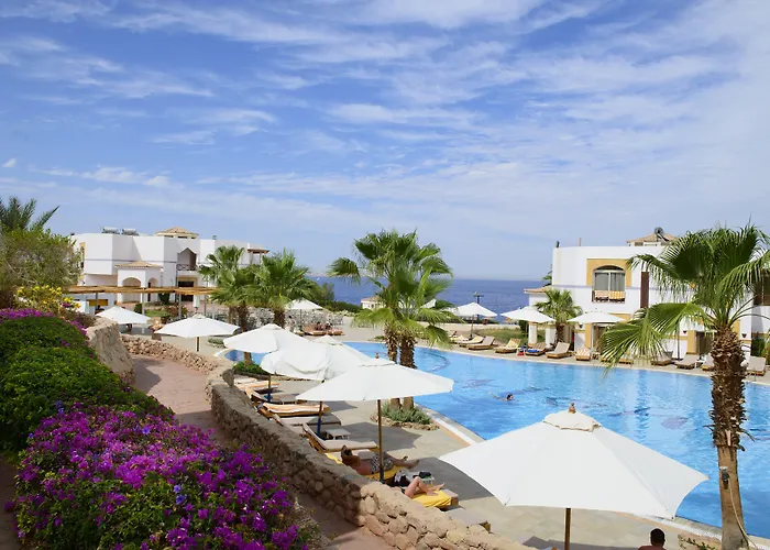 Amphoras Blu Ultra (adults Only) Sharm El-Sheikh
